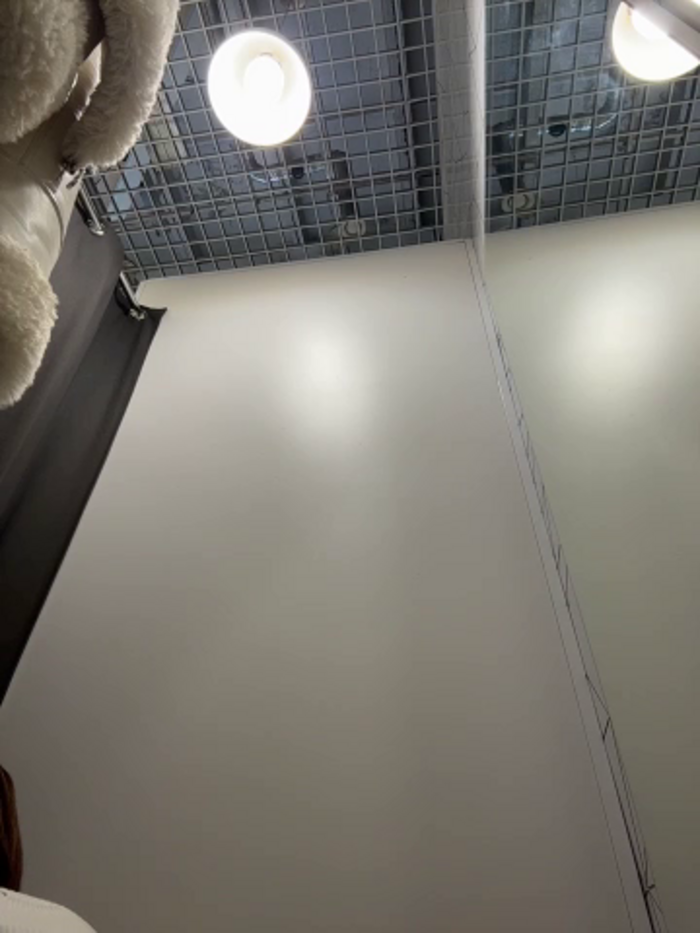 DollyTall