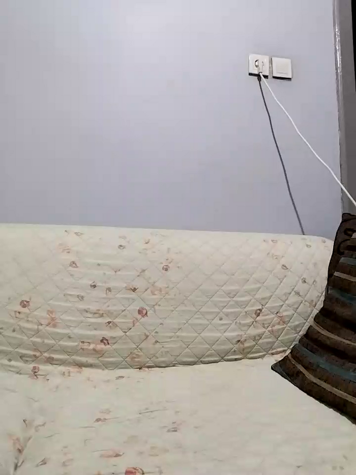PalmedDwelling