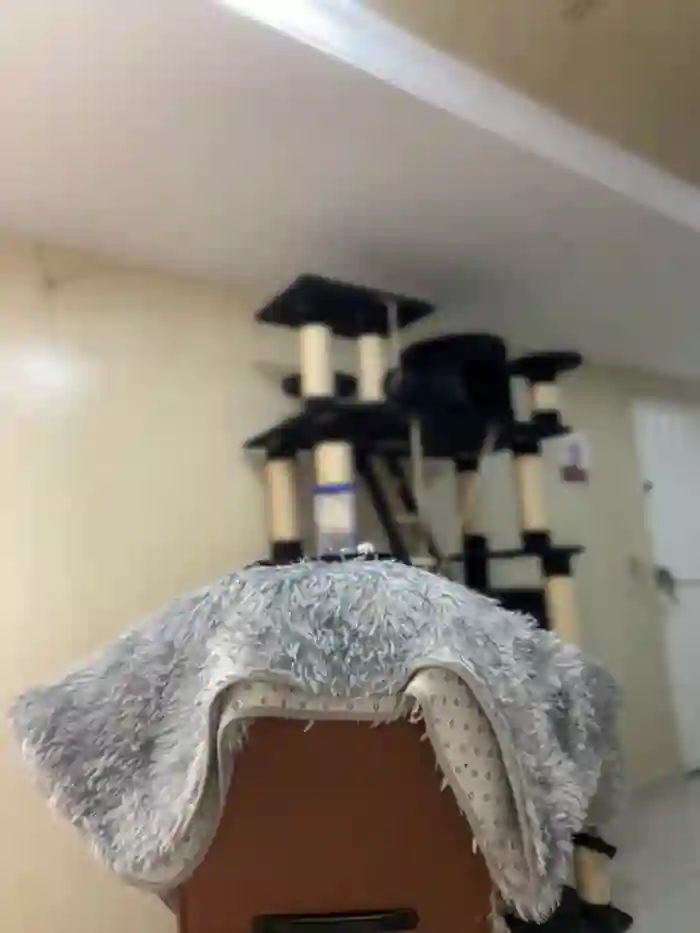 2025/10/10/stripchat-miajones21-00-51-11