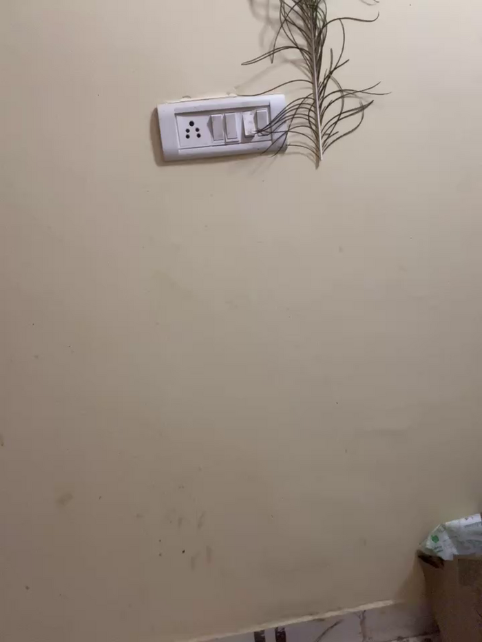 paige___turnnnnnnnnnnnner